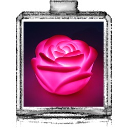 Pink night