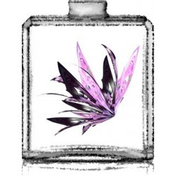 Evasion Florale