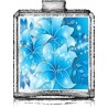 Fleur Bleu