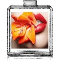 BAISER FLORAL / Générique de Island Kiss - Escada