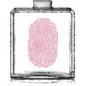 EMPRUNTE / Générique de Touch Of Pink - Lacoste