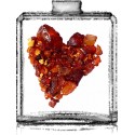  AMBER / Générique de Sehr El Kalemat - Arabian Oud- Kalimat
