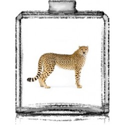 GUEPARD / Générique de La Panthère - Cartier
