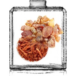 ENCENS OUD / Générique de Oud Edition - Cavalli