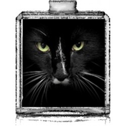 CHAT NOIR / Générique de CoCo Noir - Chanel