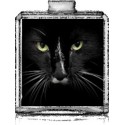 Chat Noir