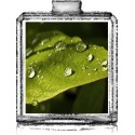 L'essence de vie