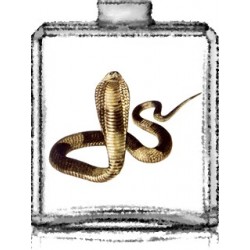 HYPNOSE / Générique de Hypnotic Poison - Dior