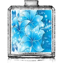 FLEUR BLEU / Générique de Light Blue - D&G