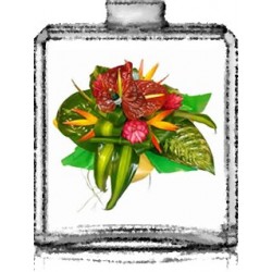 ABIME FLORAL / Générique de Marine Groove - Escada