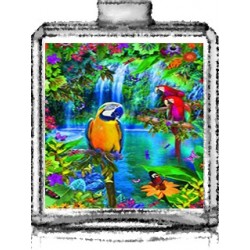 OASIS FLORAL / Générique de Pacific Paradise - Escada