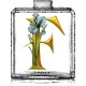 Fleurs