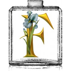 FLEURS / Générique de Flora By Gucci - Gucci