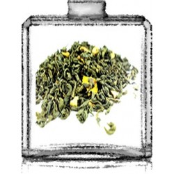 CHYPRE / Générique de Gucci By gucci - Gucci