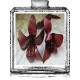 cuir