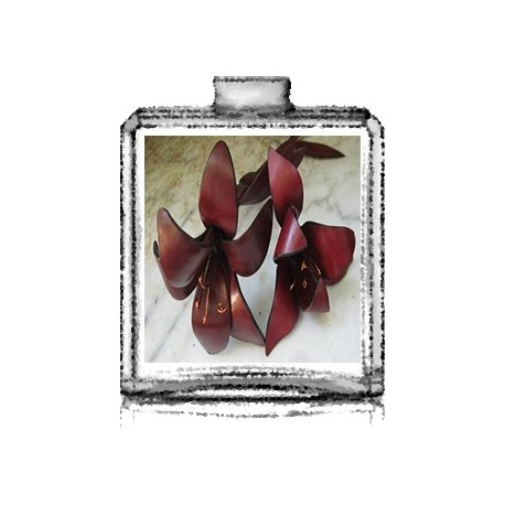 cuir