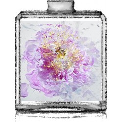 EXPLOSION FLORALE