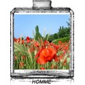 ORGES FLEURIS / Générique de Boos Orange - Hugo Boss