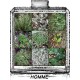 Aromi