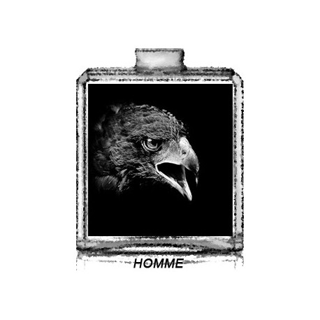 AIGLE NOIR