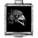 AIGLE NOIR / Générique de Black - Ferrari