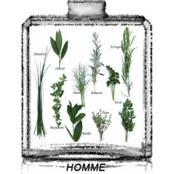 AROMATIC