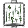 AROMATIC