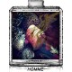 ABSOLUT SANTAL / Générique de M7 Oud Absolu - Yves Saint Laurent