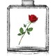 UNIQUE / Générique de Rose the One - D&G