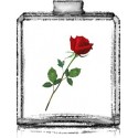 UNIQUE / Générique de Rose the One - D&G