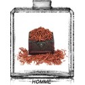 SANTAL / Générique de Essence Oud - Ferrari