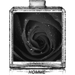 FLEUR NOIR