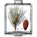 PIN MARIN / Générique de Italian Cypress - Tom Ford